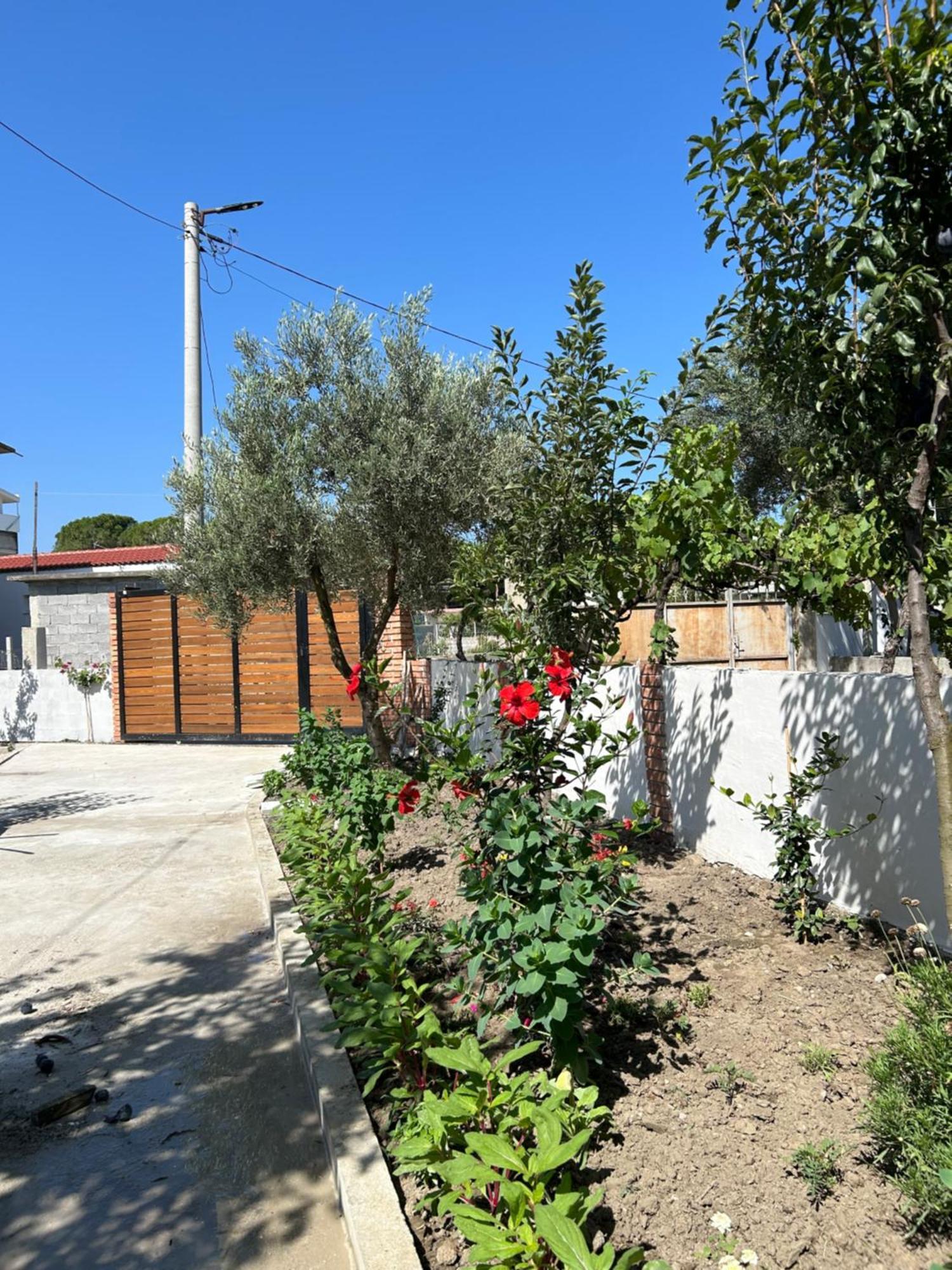 Vila Roan Avlonya Dış mekan fotoğraf